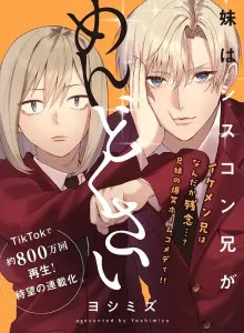Kare Wa Shisukon No Otōto Ni Unzari Shite Iru